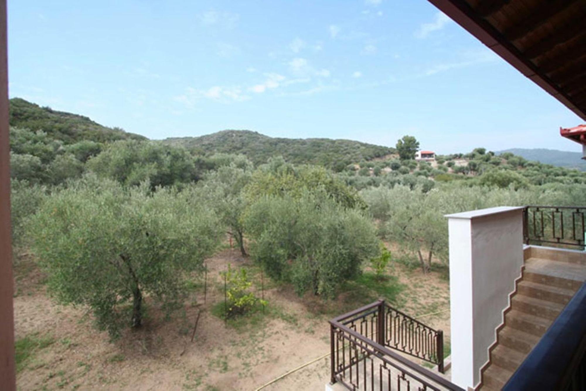 Studios Alexandros Sarti Luaran gambar